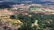 Amazonia peruana pierde 120,000 hectáreas de bosques por año