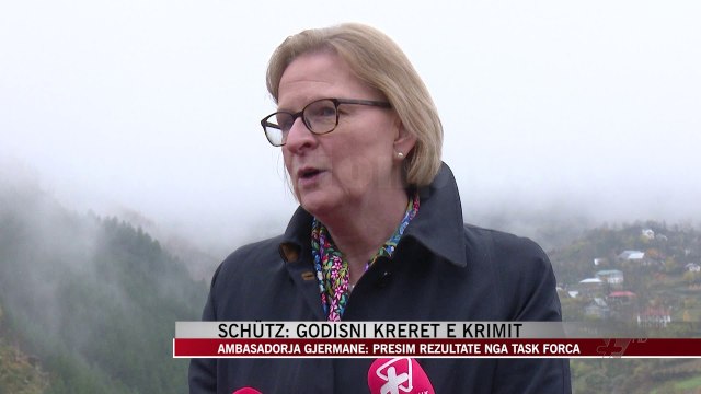 Schütz: Godisni krerët e krimit, presim rezultate nga task forca - News, Lajme - Vizion Plus