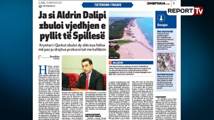 Report TV - Tokat në Spille, si i zbuloi Aldrin Dalip vjedhjen e pyllit
