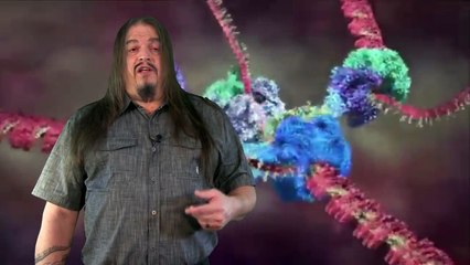 Systematic Classification of LIfe ep1 - At The Root