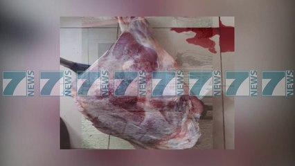 AKU AKSION EDHE NE DISA “THERTORE TE FSHEHTA” - News, Lajme - Kanali 11