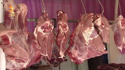 360° Gradë - Aku Aksion Për Therrjet Ilegale