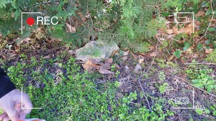 CHASSE AUX OEUFS de Pâques 2018  - Nouvelles règles ! _ Family vlog