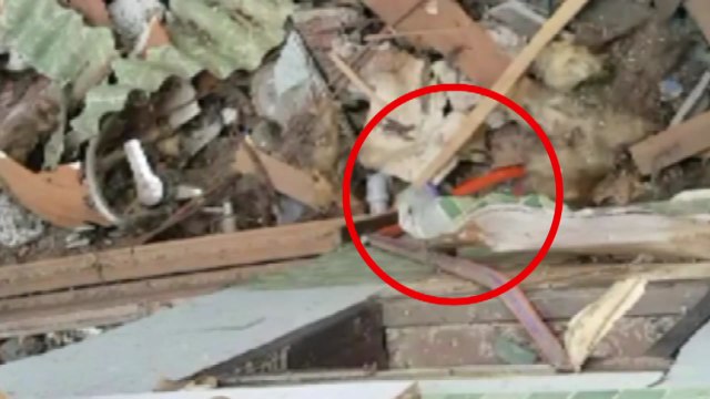 양주 폭발사고 현장서 잘린 가스관 발견... 고의 사고 가능성 / YTN