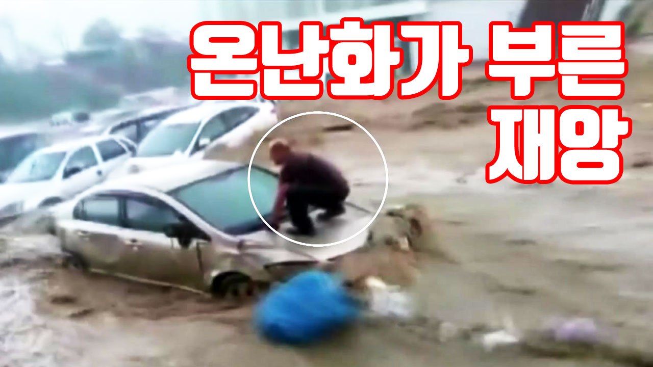 [자막뉴스] '기상 이변 속출' 온난화가 부른 재앙 / YTN