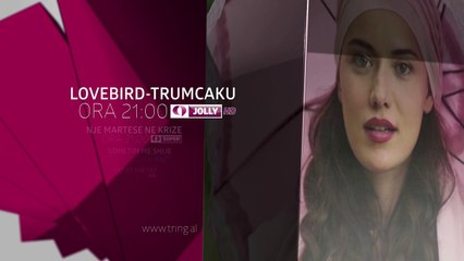 Sonte ne Tring| E Enjte 23 Nentor 2017