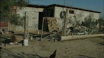 Krimi në Kavajë, vrau gruan me thikë nga gjaknxehtësia- Top Channel Albania - News - Lajme