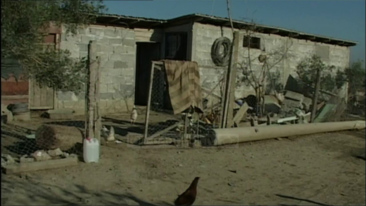 Krimi në Kavajë, vrau gruan me thikë nga gjaknxehtësia- Top Channel Albania - News - Lajme