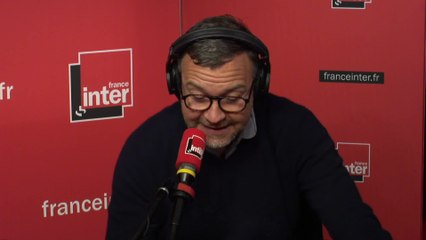 Les coléoptères dominent le monde !  - L'Edito carré