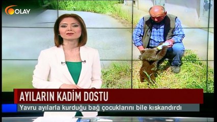 Ayıların kadim dostu