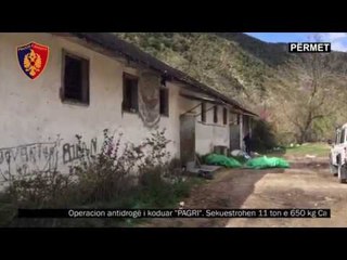 Ora News- Përmet, depoja me 12 ton kanabis, arrestohet administratori magazinës