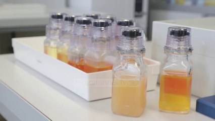 Botërori i peshëngritjes, Qerimaj: Jam më mirë se në Europian - Top Channel Albania - News - Lajme