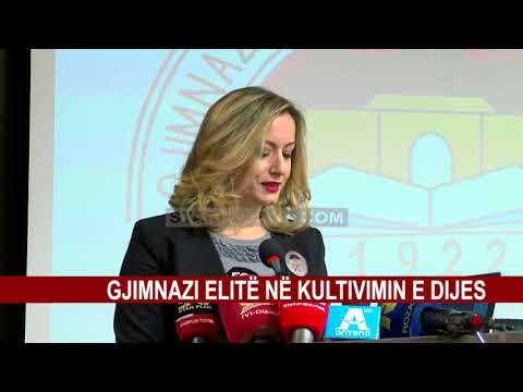 GJIMNAZI 28 NËNTORI MBUSH 95-VJET