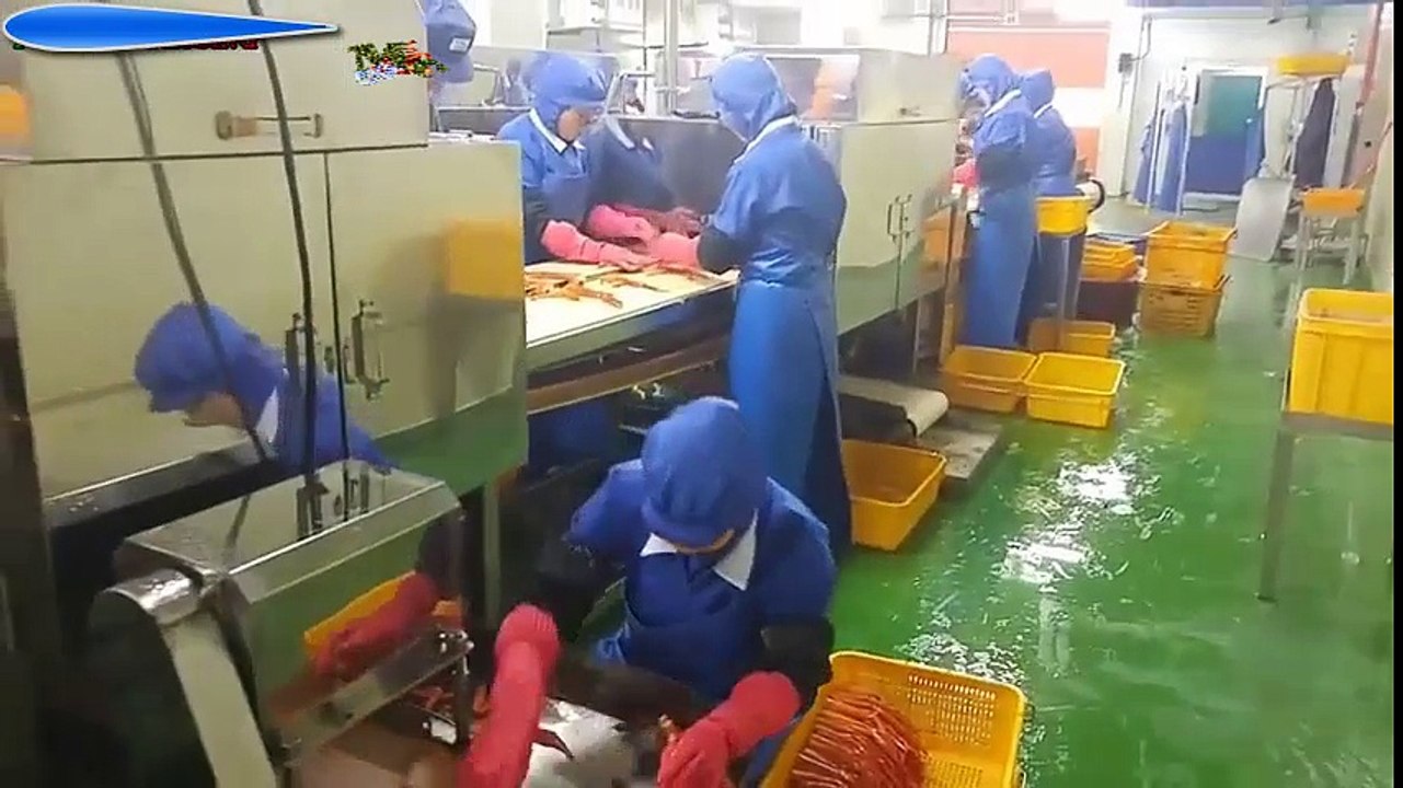 Modern Food Processing Technology - Amazing Automatic Crab Processing Machines