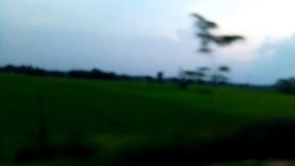 செழிப்பாக காட்சி தரும் கர்நாடகா காவிரி டெல்டா- வீடியோ