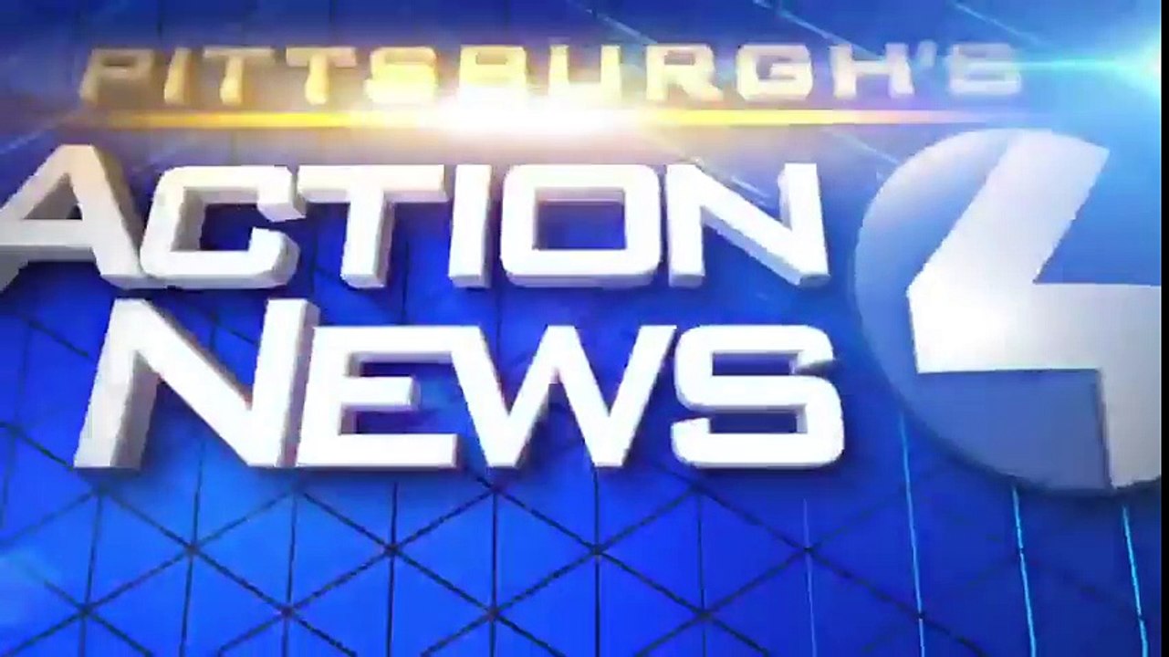 Vlasnica je izgladnjivala psa i bacila ga u kontejner za smeće: Nakon tri dana, požalila je zbog onoga što je učinila