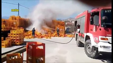 Φωτιά στις εγκαταστάσεις (αποθήκη) ΘΑΥΜΑ Σταματάκη