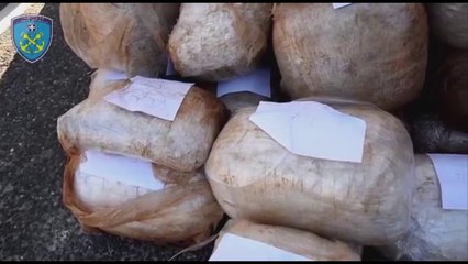 Ora News- Gomonia e kapur në Greqi ishte mbushur me 1.6 ton kanabis, u arrestuan 6 shqiptarë