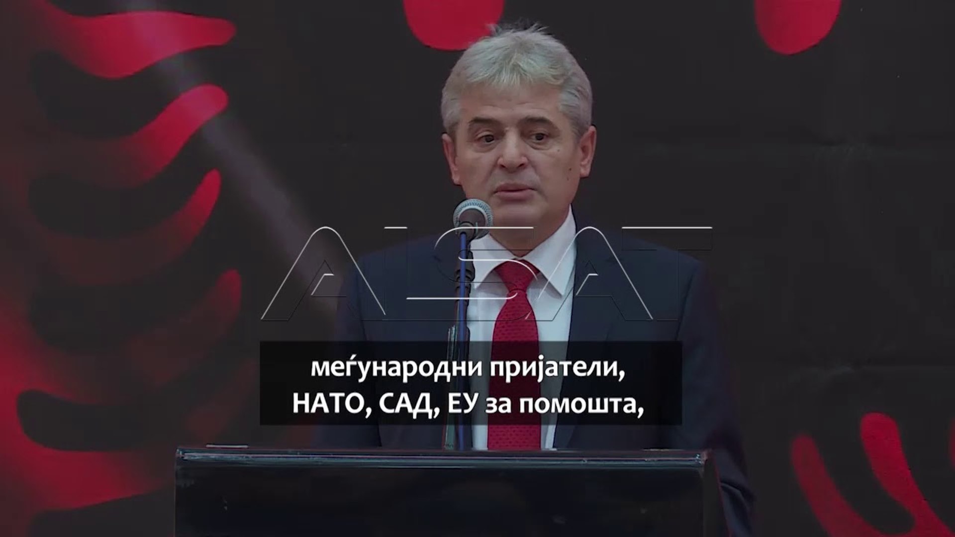 ⁣Одбележување на денот на албанското знаме