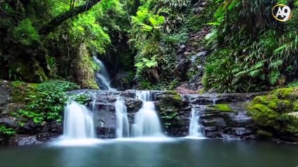 International Conference on the Origin of Life and the Universe, April 28th, 2018