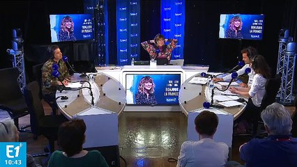 Moselle : un singe s'invite chez elle et saccage son salon