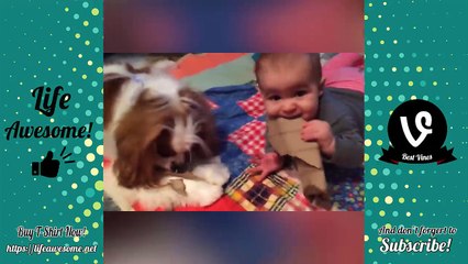 Funny Cute Kids Compilation 2018 - Funny Babies Videos | Try Not To Laugh