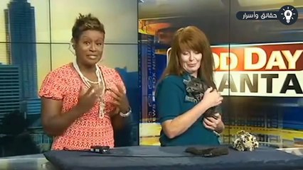 20 لحظة لا تُنسى حدثت على الهواء مباشرة