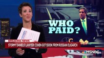 Newly Exposed Payments To Donald Trump Confidant Cohen Add Depth To Case | Rachel Maddow | MSNBC