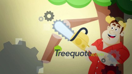 Tree Removal Service Atlanta