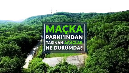 Maçka Parkı�ndan sökülen ağaçlar tomurcuklandı