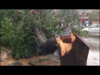 SHQIPERIA NEN SHI, NISIN PERMBYTJET, BANORET MARRIN MASA, EVAKUOHEN FAMILJET E PARA LAJM