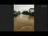 Ora News -  Përmbytje në Pogradec, 1 dhjetor 2017