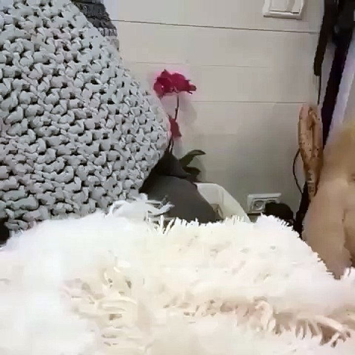 Hello.. Hellooww it's me.. Stunning