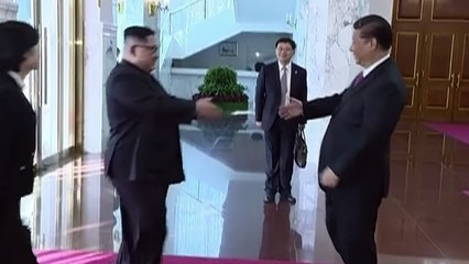 Kim Jong-un makes surprise visit to China