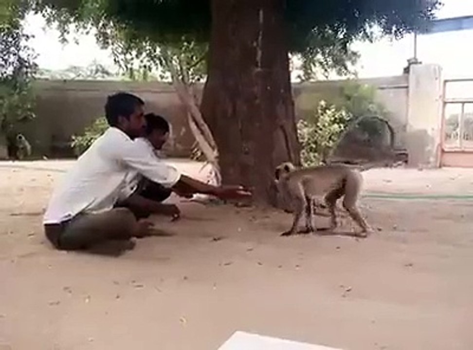 This is so Bad.. Why you did that with monkey