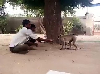 This is so Bad.. Why you did that with monkey