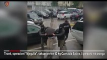 Report TV - Tiranë, sekuestrohen 90 kg kanabis, në pranga 5 persona