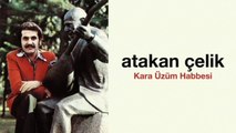 Atakan Çelik - Kara Üzüm Habbesi (Full Albüm)