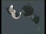 Os Pinguins de Madagascar (Abertura Globo)