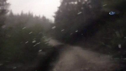 Ordu'nun yüksek kesimlerine dolu yağdı