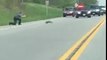 Ce policier tire sur un animal traversant la route !!