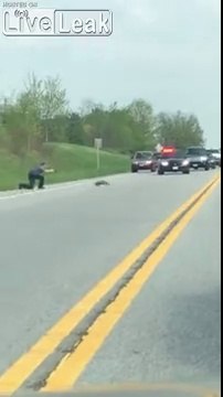 Ce policier tire sur un animal traversant la route !!