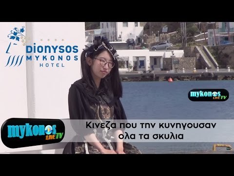 Δειτε την κινεζα που την κυνηγουσαν ολα τα σκυλια της Μυκονου!!