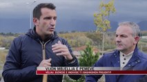 Vijon mbjellja e pemëve në Tiranë - News, Lajme - Vizion Plus