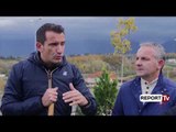 Report TV - Tiranë, shtohen edhe 200 pemë të reja te Unaza e Madhe