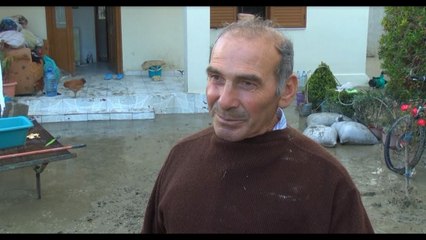 Banoret e Ferrasit bejne bilancin