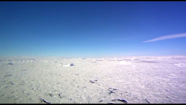 La mayoría de áreas marinas protegidas será inhabitable en 80 años