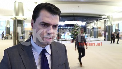 Basha: Qeverite e BE, stepje per Shqiperine