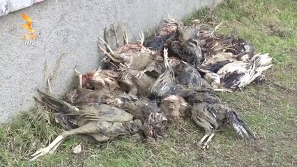 360° Gradë - Ulet Rreziku Nga Përmbytjet