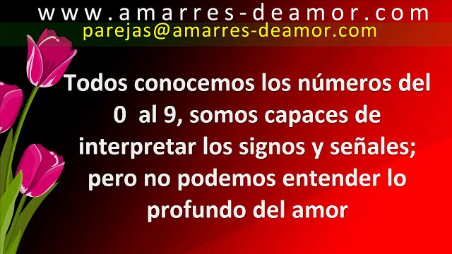 El verdadero amor eterno se manifiesta en la paz y tranquilidad contigo mismo y con los demás